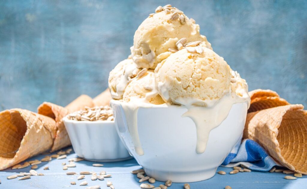 6 Ideas de Heladerías para Emprender en México 3 helado vegano